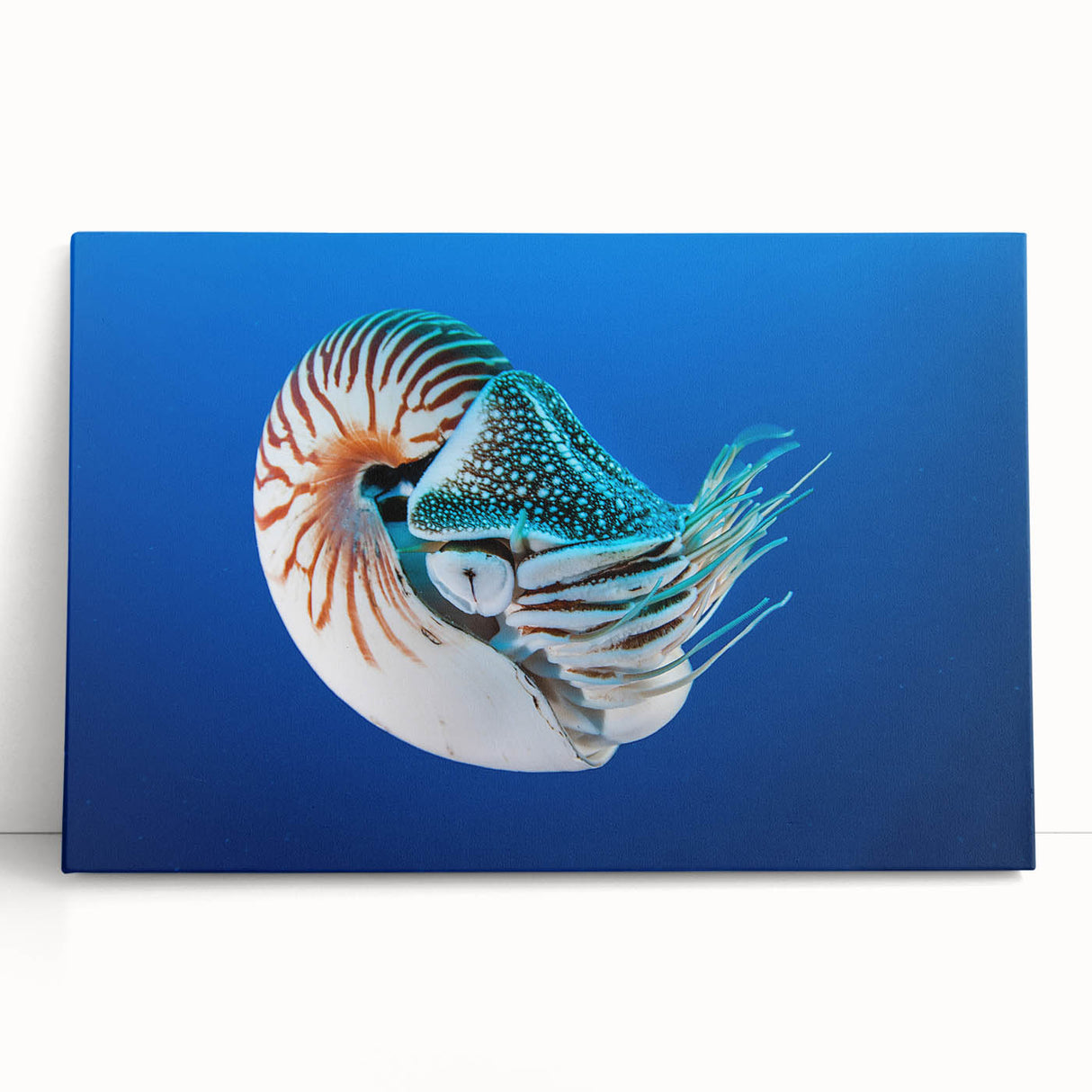 Large black and white stretched canvas of Micronesian scenery, ideal for kitchen wall art or bedroom ambiance.