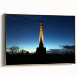 Framed canvas of Wellington, New Zealand landscape in vintage poster style with black and gold tones.