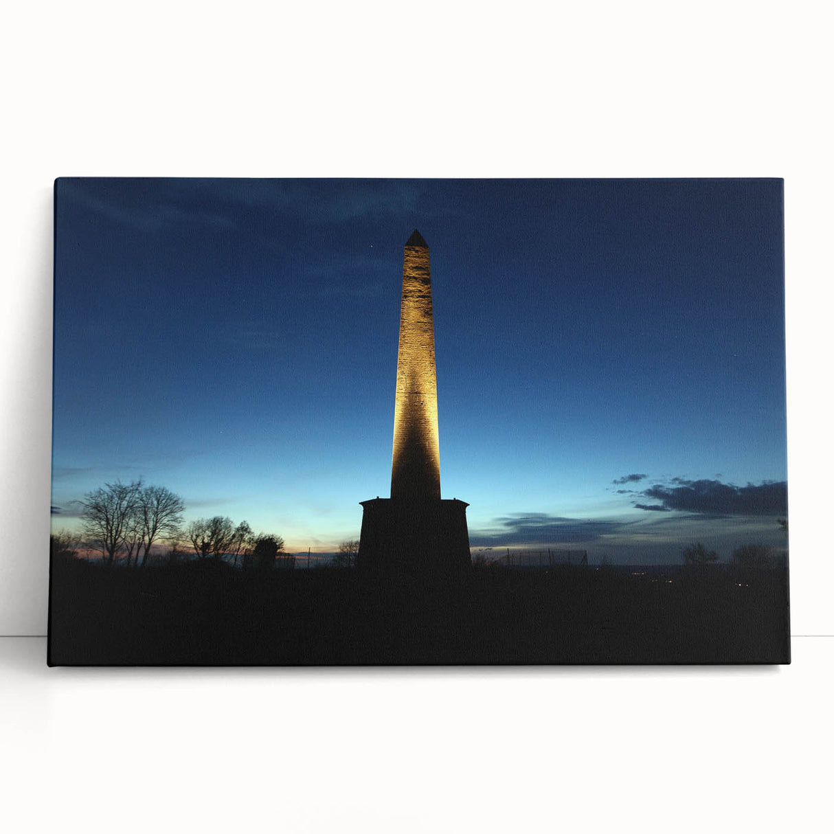 Black and white stretched canvas of Wellington skyline with large art format, ideal for kitchen wall art or bedroom ambiance.
