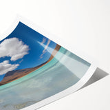 Extra large wall art featuring line art flowers in muted earth tones on a rolled print, suitable for large living room decor.