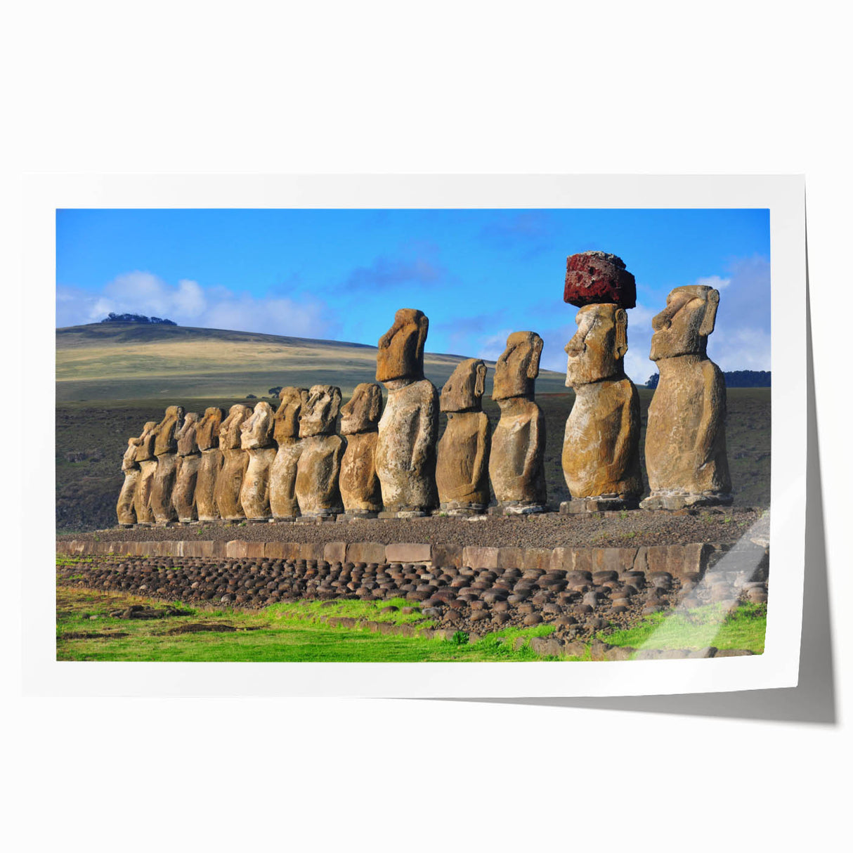 Extra large rolled print depicting vibrant floral scenery in Chile.