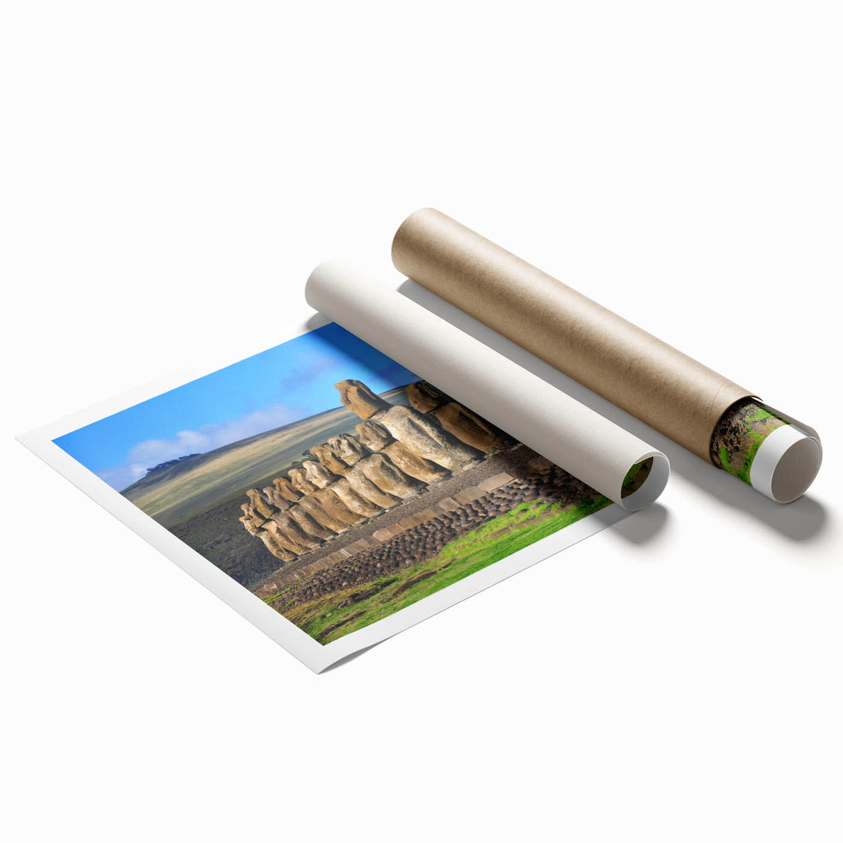 Extra large floral art print of Chilean scenery in muted earth tones on rolled canvas.