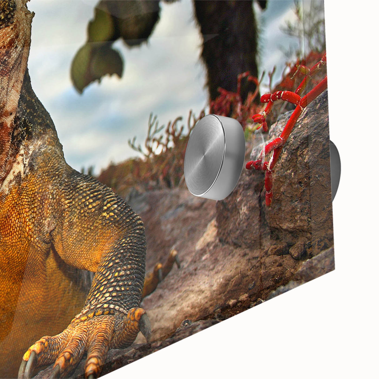 Large abstract wall art depicting Galapagos scenery in mid-century modernist style on acrylic glass.