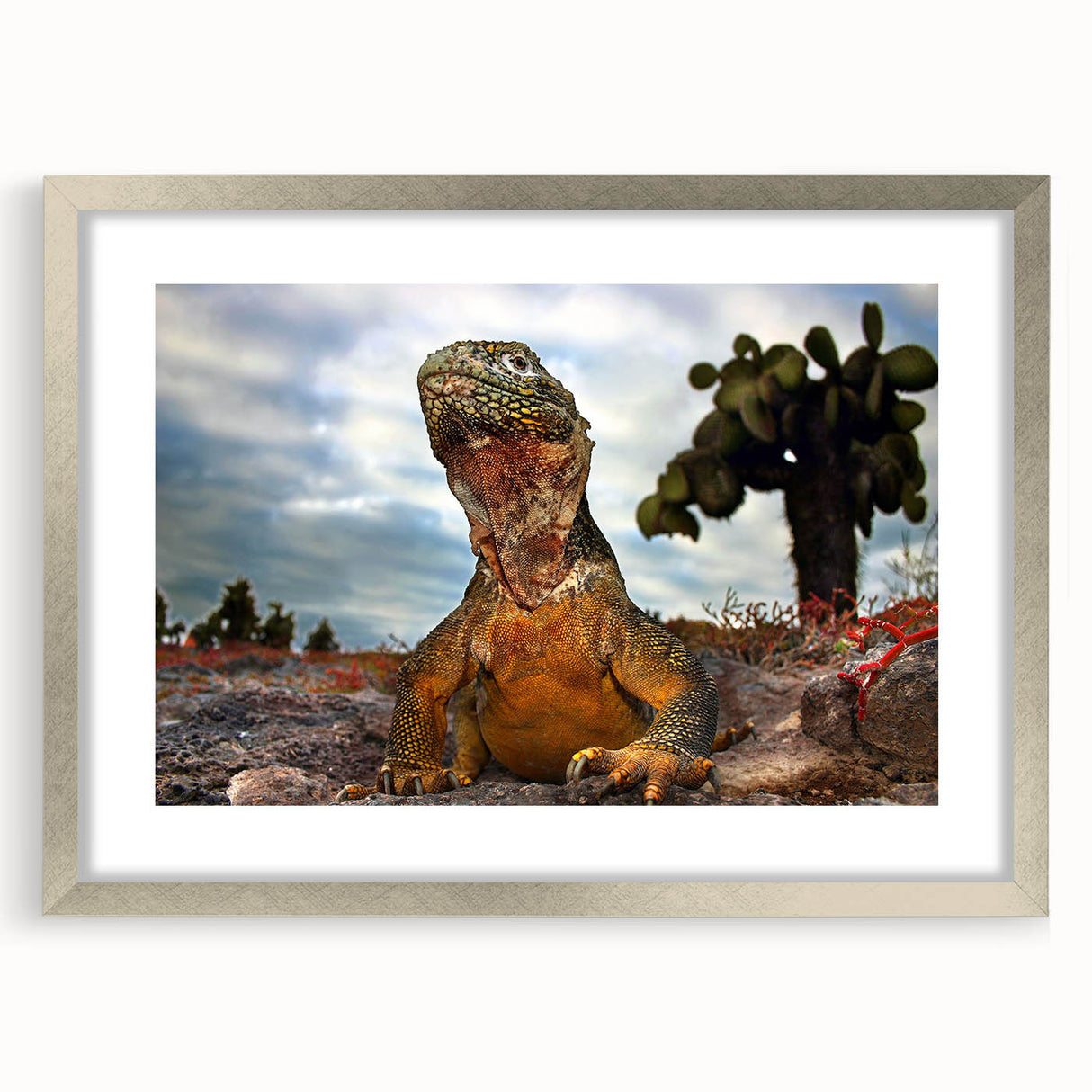 Textured abstract art print of a Galapagos scenery in silver frame, suitable for bedroom art.