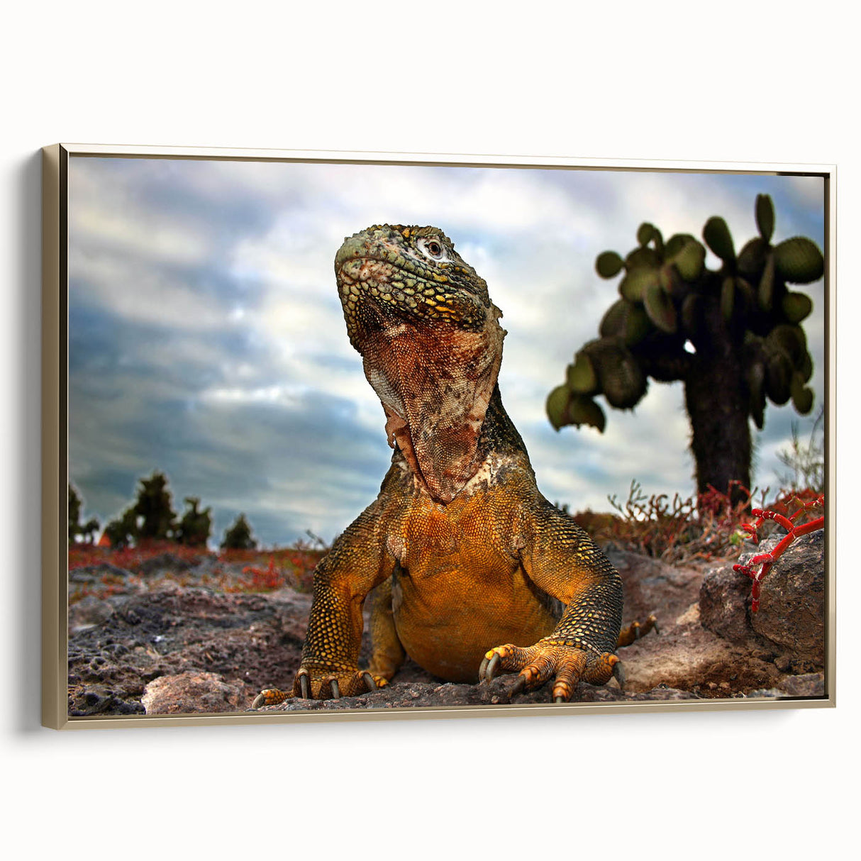 Framed canvas featuring a vintage-style landscape painting of the Galapagos Islands in muted earth tones.