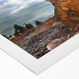 Art deco poster of Galapagos scenery in soft blue and green tones on rolled canvas, suitable for dining room wall art.