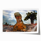 Extra large rolled print featuring a scenic view of the Galápagos with vibrant green and blue tones.