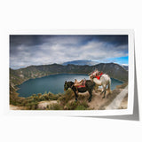 Extra large rolled print of a vibrant Ecuadorian landscape with lush floral elements.