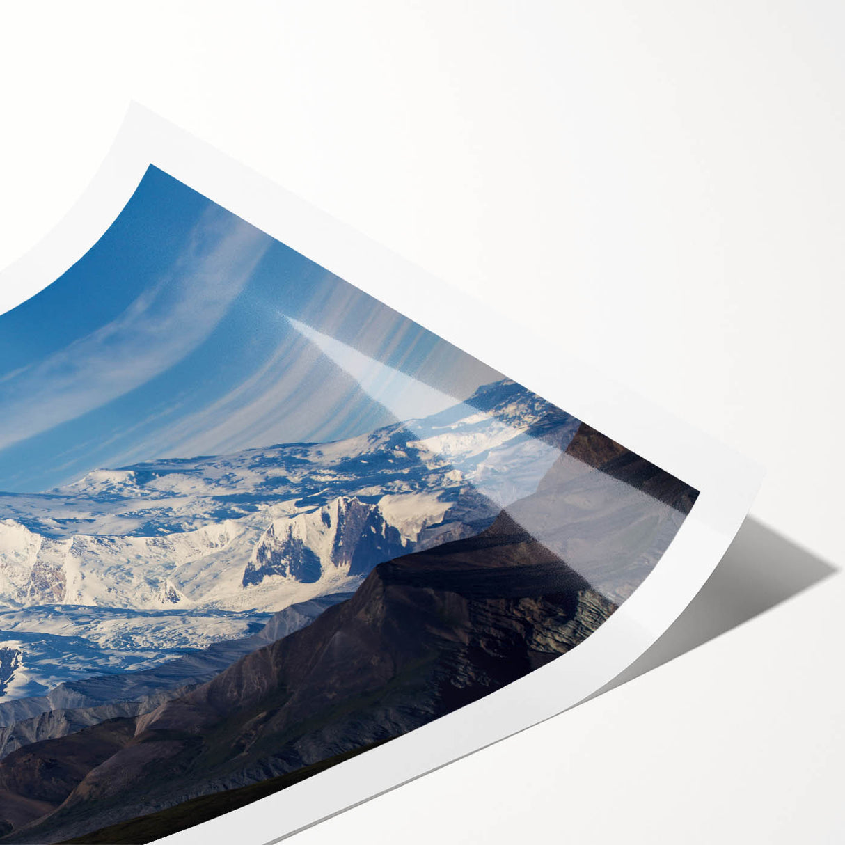 Extra large wall art featuring line art flowers on a rolled print, set against Alaska's Denali scenery.