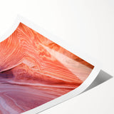 Extra large rolled print of Coyote Buttes in Arizona, featuring detailed line art flowers in earth tones.