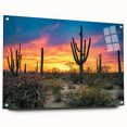 Acrylic print of the Sonoran Desert in Arizona, featuring earthy tones and a realistic style, suitable for dining room decor.
