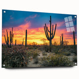Acrylic print of the Sonoran Desert in Arizona, featuring earthy tones and a realistic style, suitable for dining room decor.