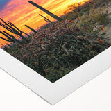 Art deco poster featuring the Sonoran Desert in muted earth tones on rolled canvas, suitable for dining room or bathroom.