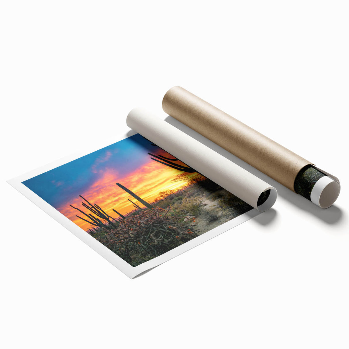Extra large rolled print of the Sonoran Desert with muted green and brown tones, ideal for classy bathroom wall art.