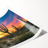 Extra large rolled print featuring line art flowers and Sonoran Desert scenery, set in muted earth tones.