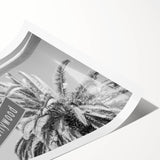 Extra large wall art featuring line art flowers in monochrome, ideal for large living room decor.