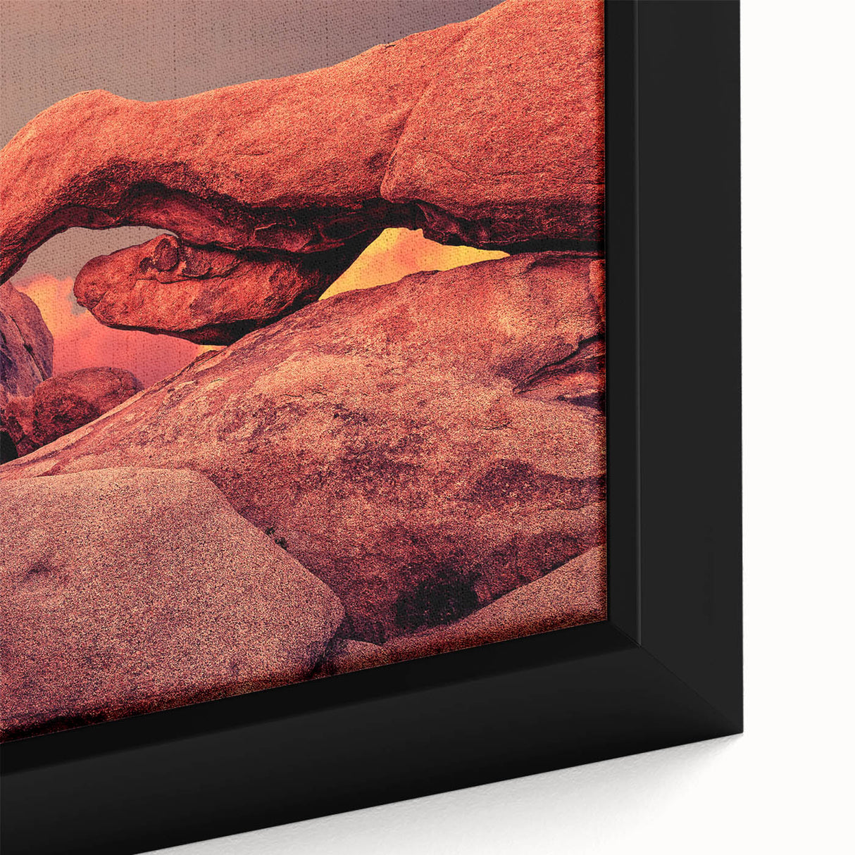 Extra large framed canvas featuring a textured depiction of Joshua Tree in black with colorful accents.
