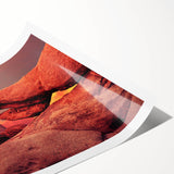 Extra large wall art featuring line art flowers on a Joshua Tree, California scenery, in muted earth tones.