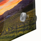 Mid-century modernist large abstract art print of Napa Valley on acrylic glass, in muted earth tones.