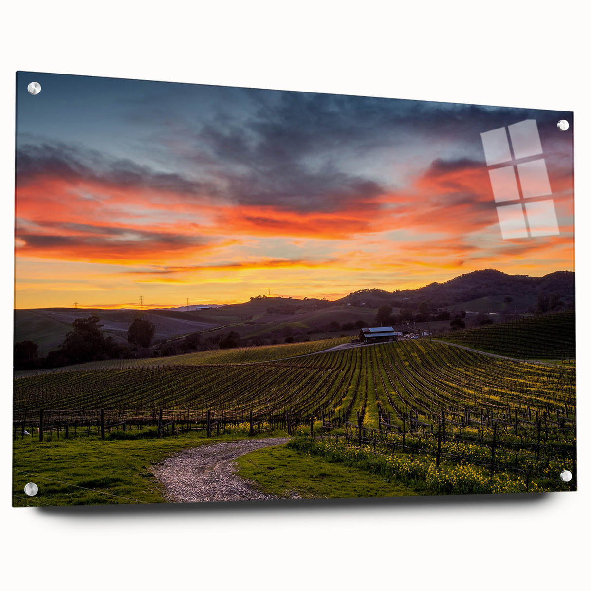 Acrylic print of the Napa Valley landscape in soft earth tones, ideal for dining room decor.