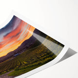 Extra large wall art featuring line art flowers in muted earth tones on rolled print.