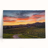Black and white stretched canvas of Napa Valley scenery, ideal for kitchen wall art or bedroom ambiance.