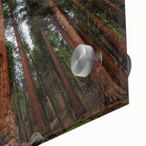 Large abstract depiction of California's Sequoias in muted earth tones on acrylic.