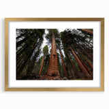 Extra large wall art featuring abstract textured sequoia tree design in gold frame, ideal for living room decor.