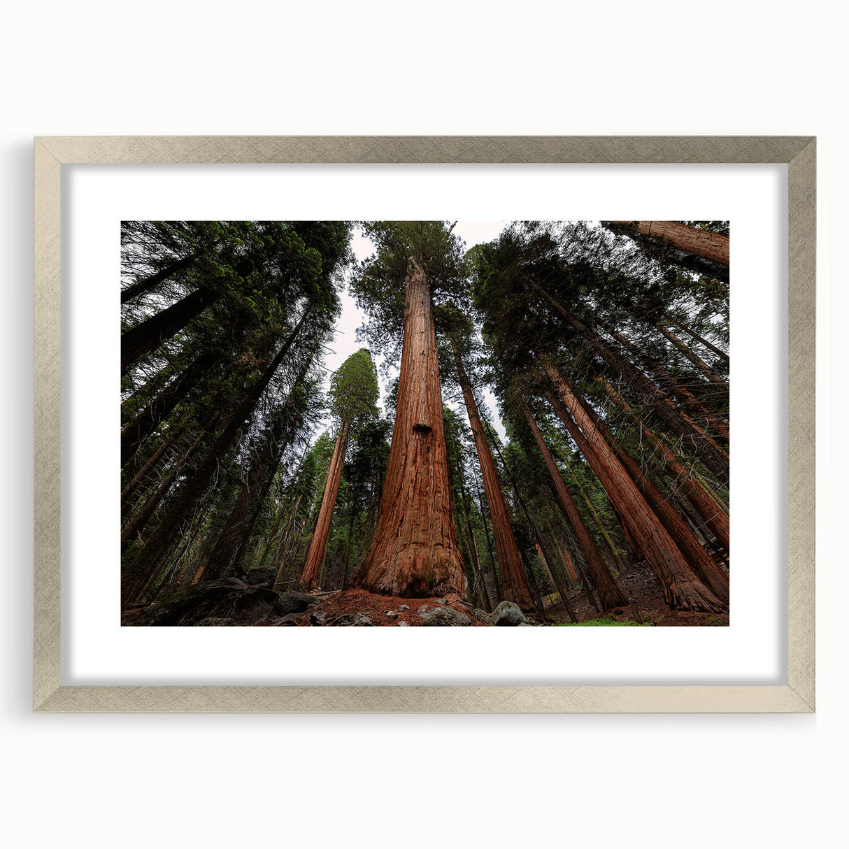 Textured art print of abstract California Sequoia trees in muted earth tones, framed in silver, ideal for bedroom decor.