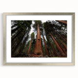 Textured art print of abstract California Sequoia trees in muted earth tones, framed in silver, ideal for bedroom decor.