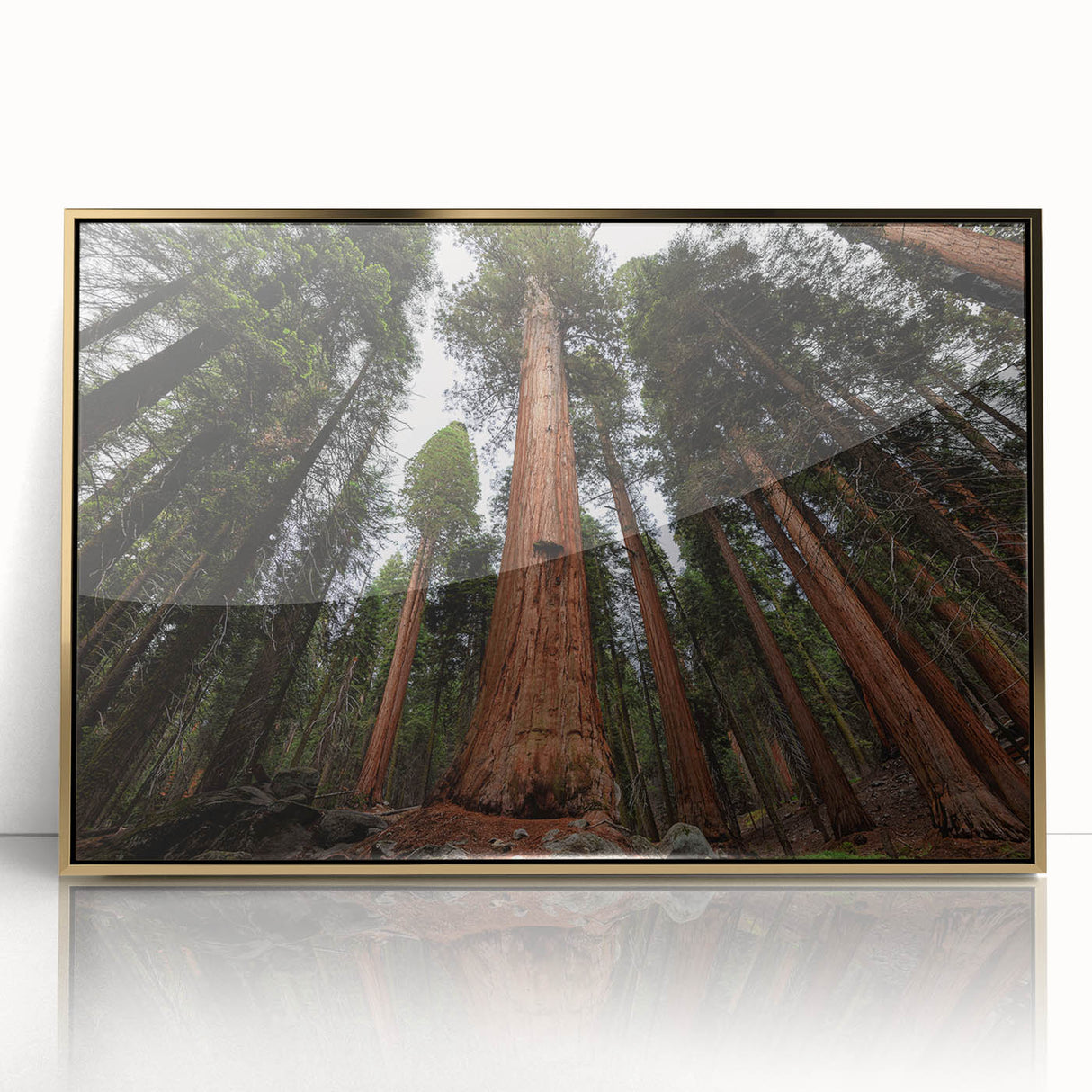 Large art print of a California Sequoia scene in gold-framed acrylic, featuring mid-century modernist style.