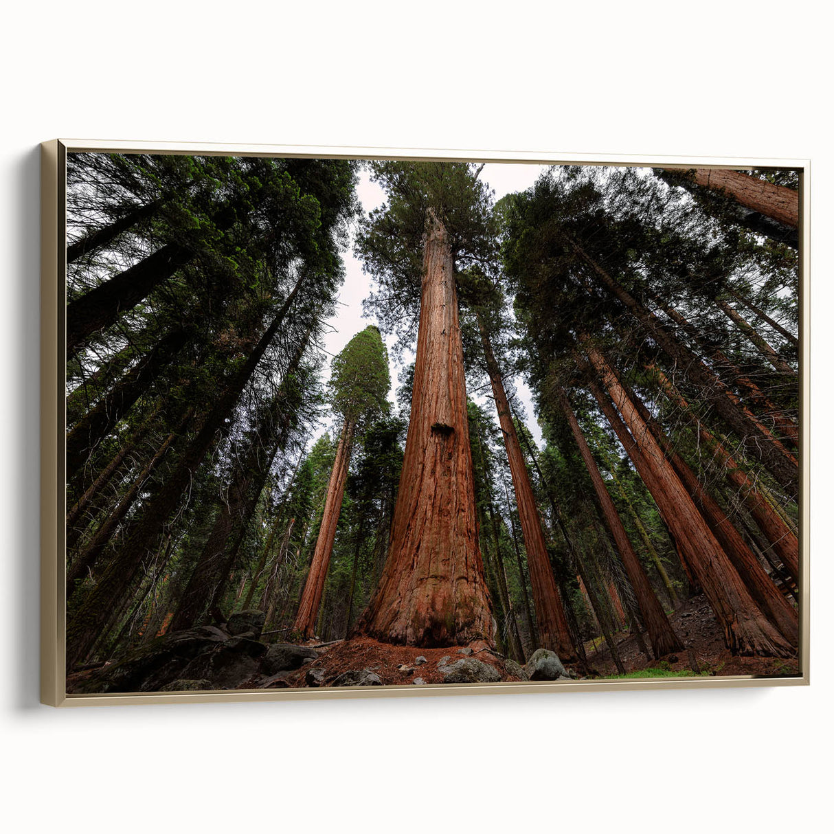 Framed canvas wall art depicting a vintage-style California sequoia landscape in muted earth tones.