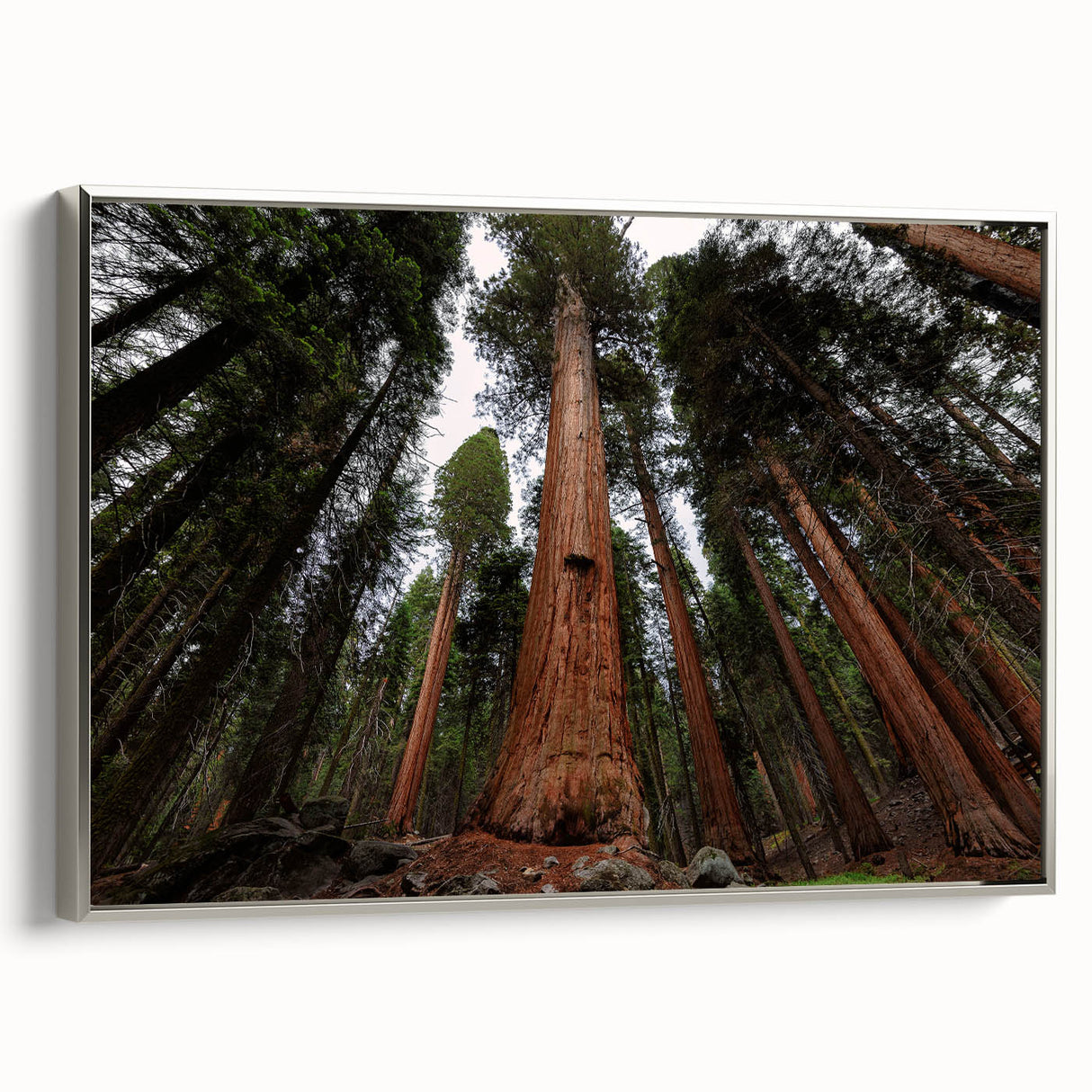 Framed canvas landscape art painting depicting a vintage-style California sequoia scene in colorful hues.
