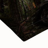 Large art featuring a black and white landscape of California Sequoias on stretched canvas, suitable for bedroom decor.