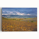 Landscape photograph of Sonoma, California in black and white on stretched canvas, ideal for kitchen art.