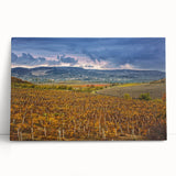 Black and white image of Sonoma landscape on large stretched canvas, suitable for kitchen or bedroom decor.