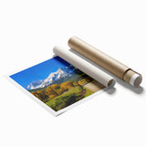 Extra large rolled canvas print of Aspen trees in muted autumn colors.