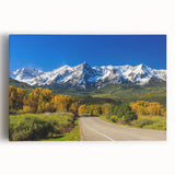 Black and white photograph of Aspen trees on large stretched canvas, ideal for kitchen wall art.