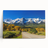 Black and white photograph of Aspen trees on stretched canvas, ideal for kitchen wall art or bedroom ambiance.