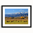 Abstract art print of Boulder, Colorado, featuring vibrant, textured colors on a large framed canvas.