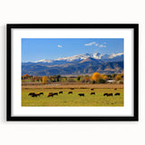 Abstract art print of Boulder, Colorado, featuring vibrant, textured colors on a large framed canvas.