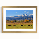 Extra large abstract art print of Boulder, Colorado scenery in gold frame, featuring textured earth tones.