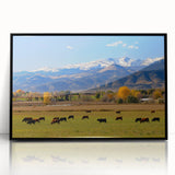 Large abstract wall art depicting Boulder, Colorado, in muted earth tones on a framed acrylic.
