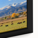 Black wall art featuring a textured, colorful Colorado Boulder landscape on a large framed canvas.