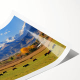 Extra large wall art featuring line art flowers in neutral tones on a rolled print, suitable for large living room decor.