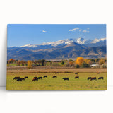 Black and white photograph of Boulder, Colorado on stretched canvas, ideal for kitchen wall art.