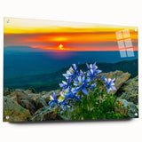 Acrylic print of Colorado Springs landscape in muted earth tones, suitable for dining room decor.