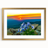 Extra large abstract art print of Colorado Springs with textured elements in gold frame, ideal for living room decor.