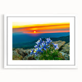 Abstract art print of Colorado Springs landscape in muted earth tones on framed white mat, ideal for dining room decor.