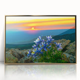 Large art print of Colorado Springs scenery in gold frame, mid-century modernist style, ideal for nursery wall decor.